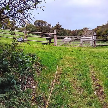 De La Ferme De La Cour * Crasville (Manche)