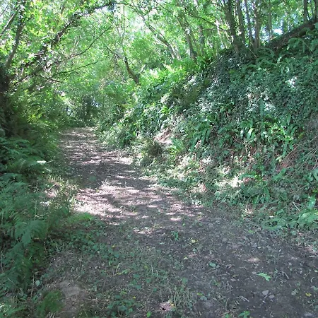 De La Ferme De La Cour *