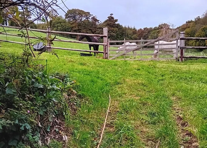 De La Ferme De La Cour * Crasville (Manche)