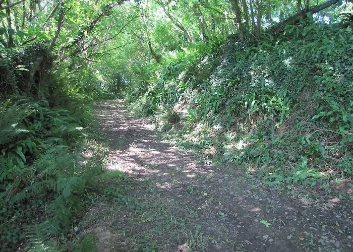 De La Ferme De La Cour *