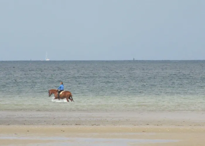 Casa vacanze De La Ferme De La Cour Crasville (Manche)
